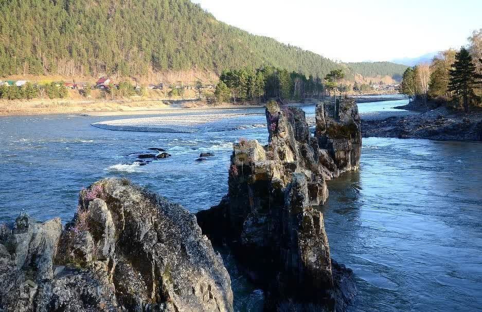 земля р-н Чемальский село Анос фото 4