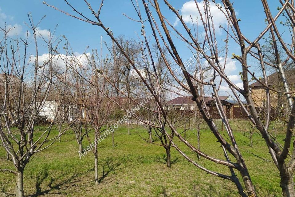 земля г Таганрог городской округ Таганрог, садовое товарищество Радуга фото 1