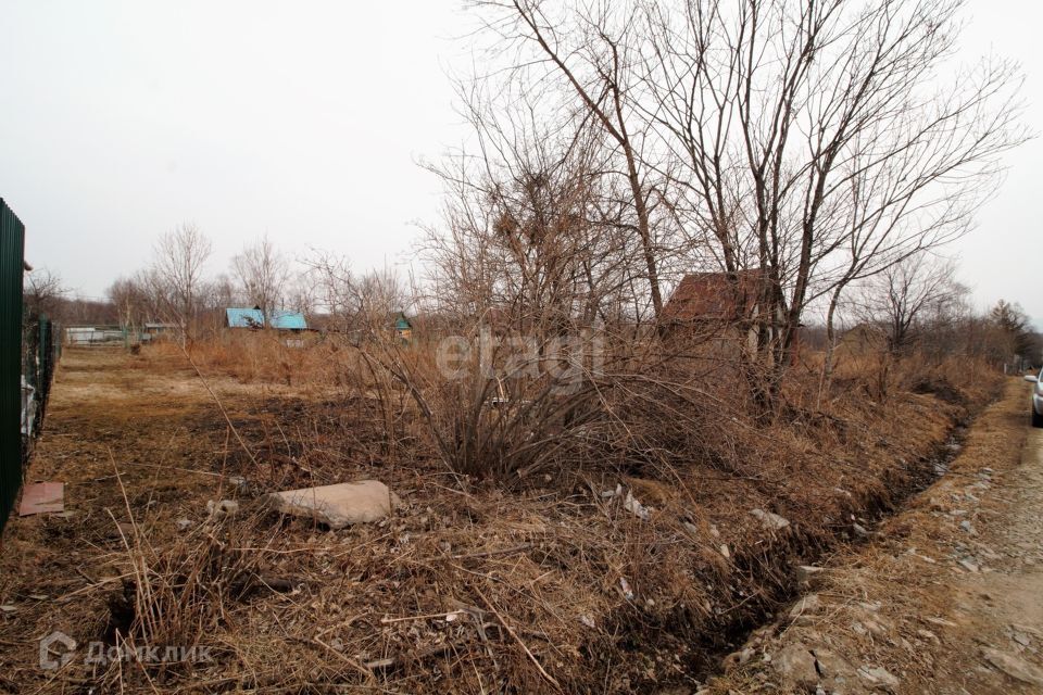 земля г Артем снт Экспортник Артёмовский городской округ, 161 фото 5