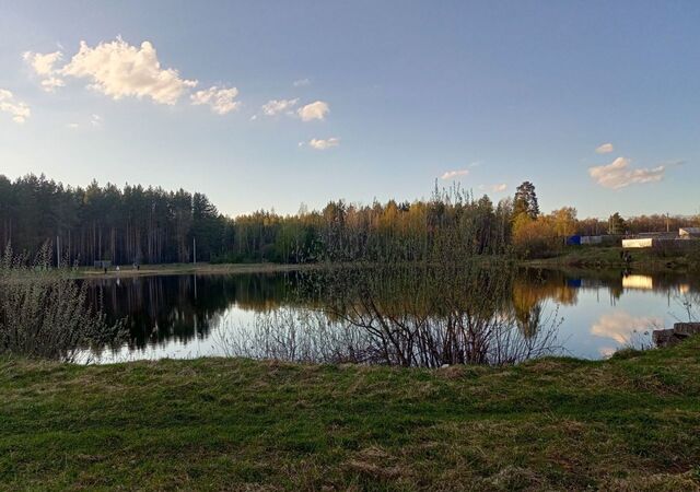 г Володарск Жабик, Новосмолинский, озеро фото