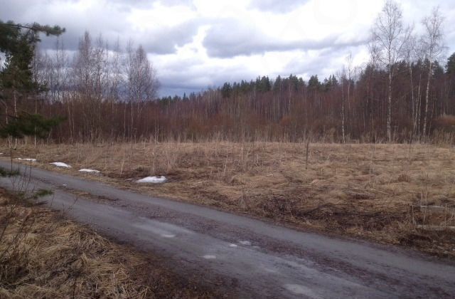 земля Кузнечнинское городское поселение, садоводческое товарищество Алмаз фото