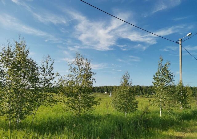 днп ДНТ Родник муниципальное образование Пекшинское, Костерево фото