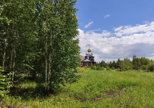 сельское поселение Новый Кременкуль, Челябинск фото