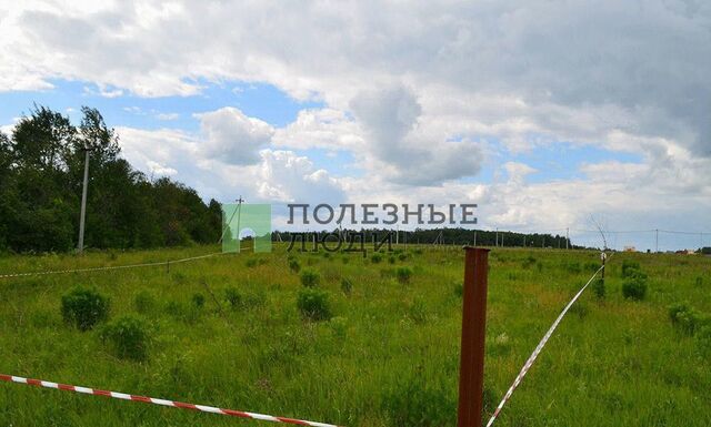 земля с Шама ул Зеленая 4а Билярское сельское поселение, Аксубаево фото