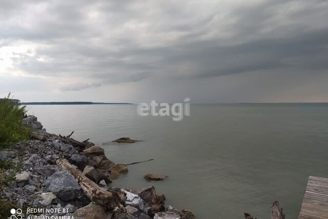 городской округ Бердск, СНТ Лесное фото