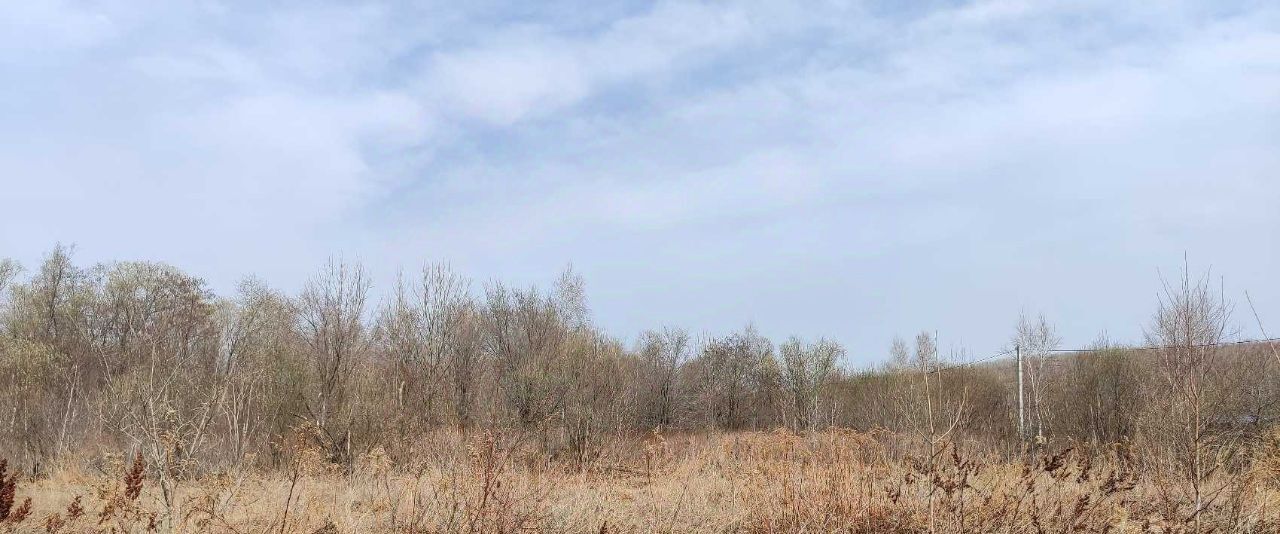земля р-н Хабаровский с Корсаково-1 снт тер.Зубровое фото 3