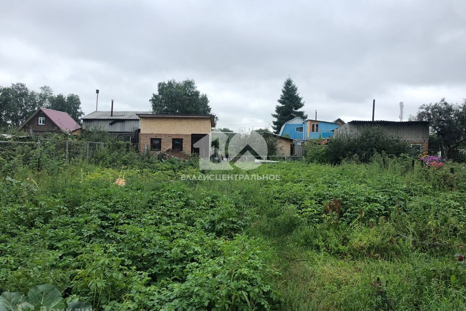 земля городской округ Бердск, садоводческое товарищество Радист, 107 фото 7