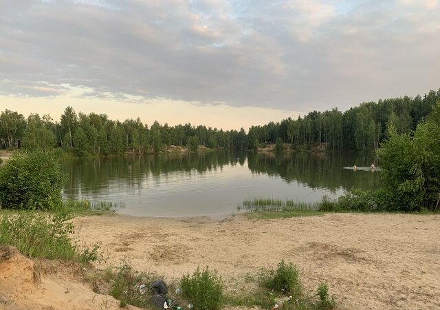 земля д Дальняя снт Источник 169, Электрогорск фото