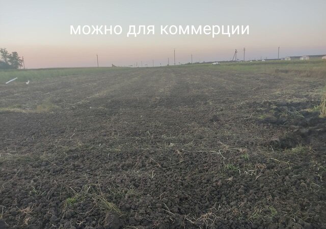 земля Кирпильское сельское поселение фото