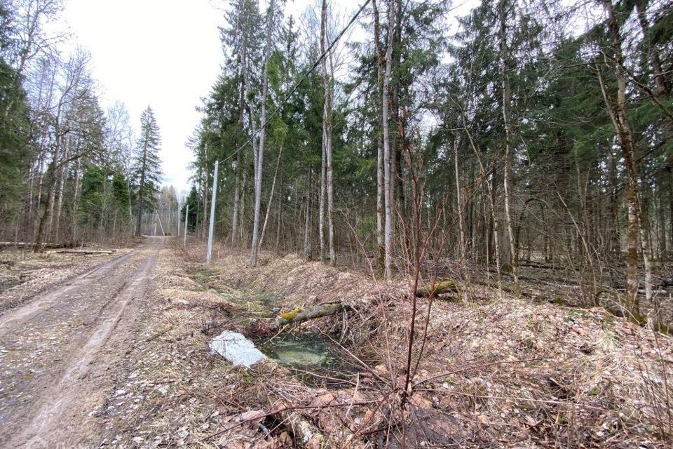 земля городской округ Сергиево-Посадский г Хотьково тер ДПК Весна пер Лазурный фото 5