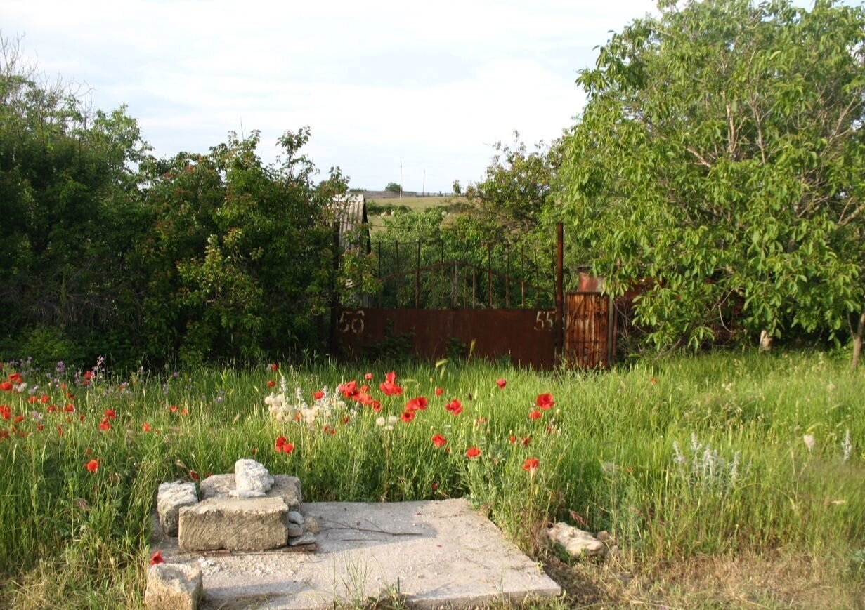земля г Севастополь садоводческое товарищество Движенец, Крым фото 2