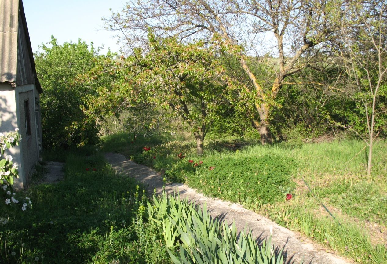 земля г Севастополь садоводческое товарищество Движенец, Крым фото 3