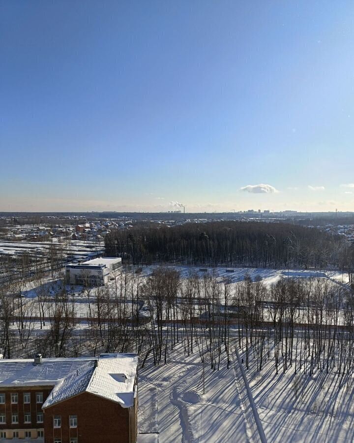 квартира городской округ Богородский г Ногинск ул Шибаевская 1 фото 2