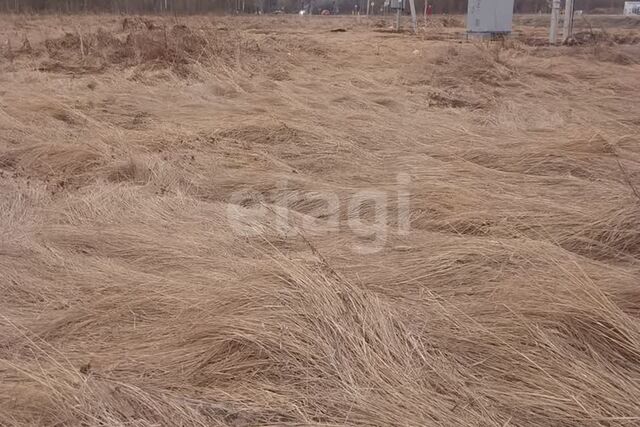 городской округ округ Муром, деревня Александровка фото