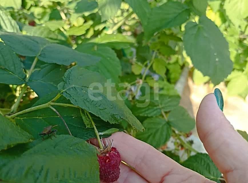 дом г Калуга снт Зеленая Горка ул Московская 238 городской округ Калуга фото 2