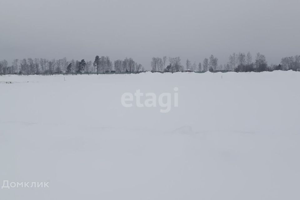 земля городской округ Калуга, деревня Канищево фото 8
