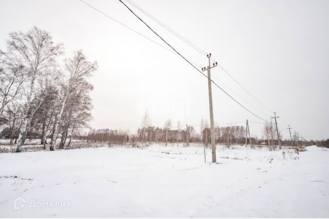 земля городской округ Бердск, ТЛПХ Любавино фото