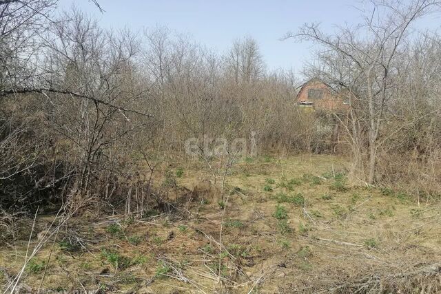 земля городской округ Воронеж, СНТ Отдых фото