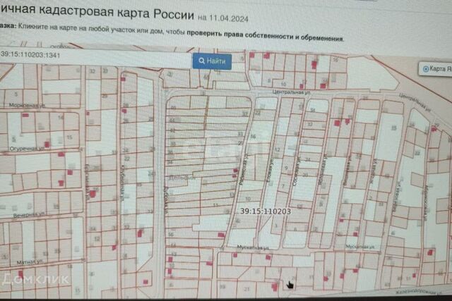 городской округ Калининград, СНТ Дельфин фото