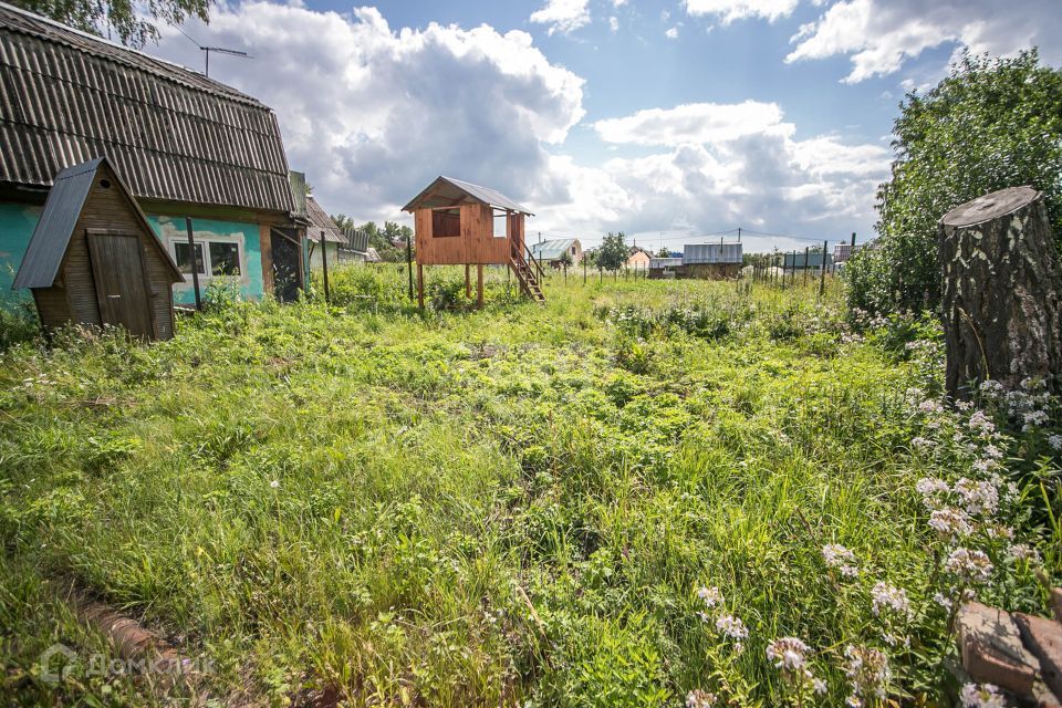 земля р-н Новосибирский садовое товарищество Строитель фото 4