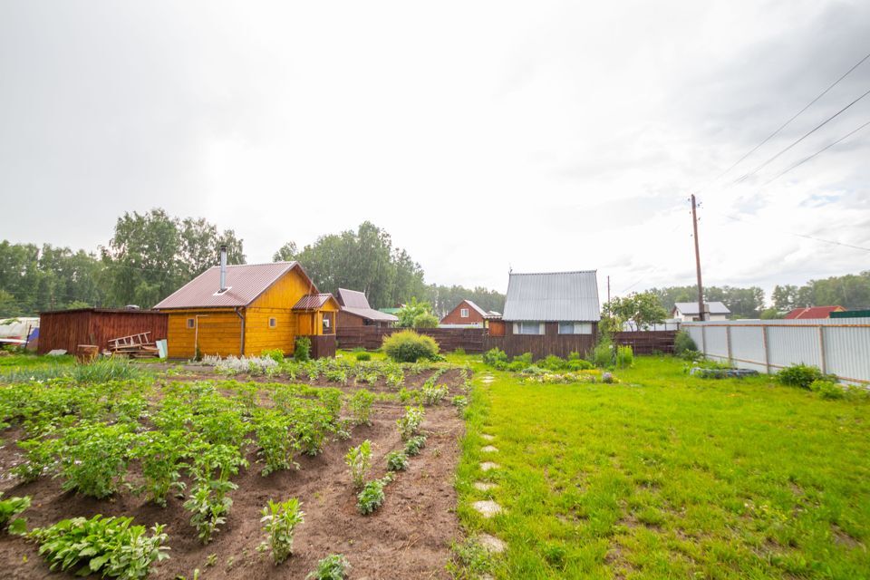 дом р-н Новосибирский некоммерческое садоводческое товарищество Берёзовая Роща, 61 фото 9