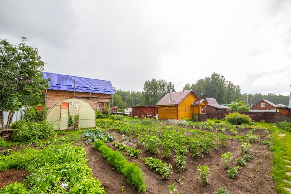 дом р-н Новосибирский некоммерческое садоводческое товарищество Берёзовая Роща, 61 фото 8