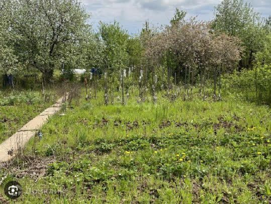 земля р-н Пермский снт Политехник-2 городской округ Пермь, 139 фото 5