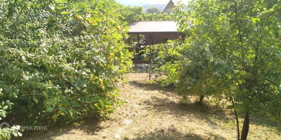 земля г Сочи с Каштаны городской округ Сочи, садовое товарищество Эпрон фото 6