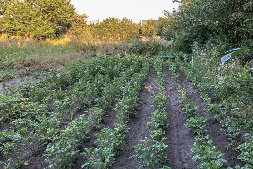 земля г Курск снт Ветеран городской округ Курск, СНТ Ветеран 1, 321 фото 8