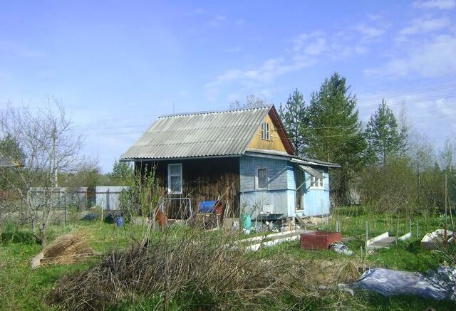 Тосненское городское поселение, массив Рубеж, 6-я линия, садоводческое некоммерческое товарищество Поляна фото