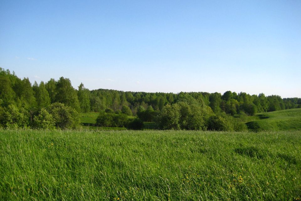 земля р-н Лодейнопольский Алёховщинское сельское поселение фото 4