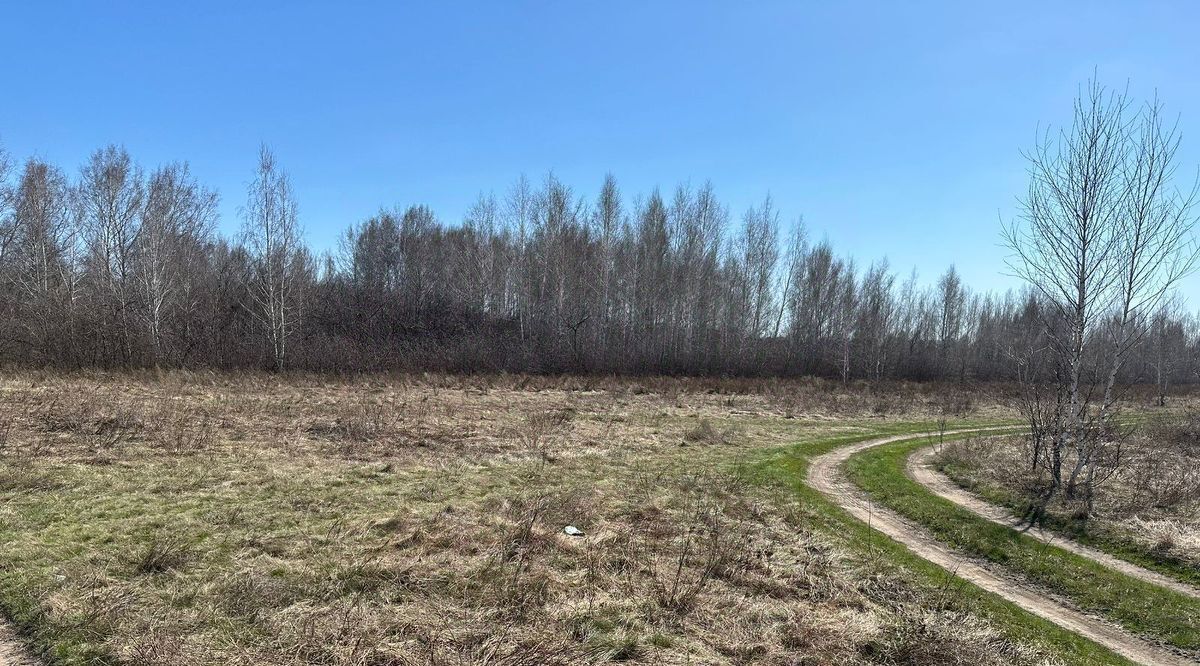 земля г Омск р-н Октябрьский снт Восток аллея 1-я Садовая фото 4