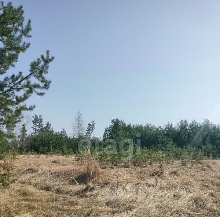земля р-н Рамонский снт Озон-2 пос, Новоживотинновское с фото 16