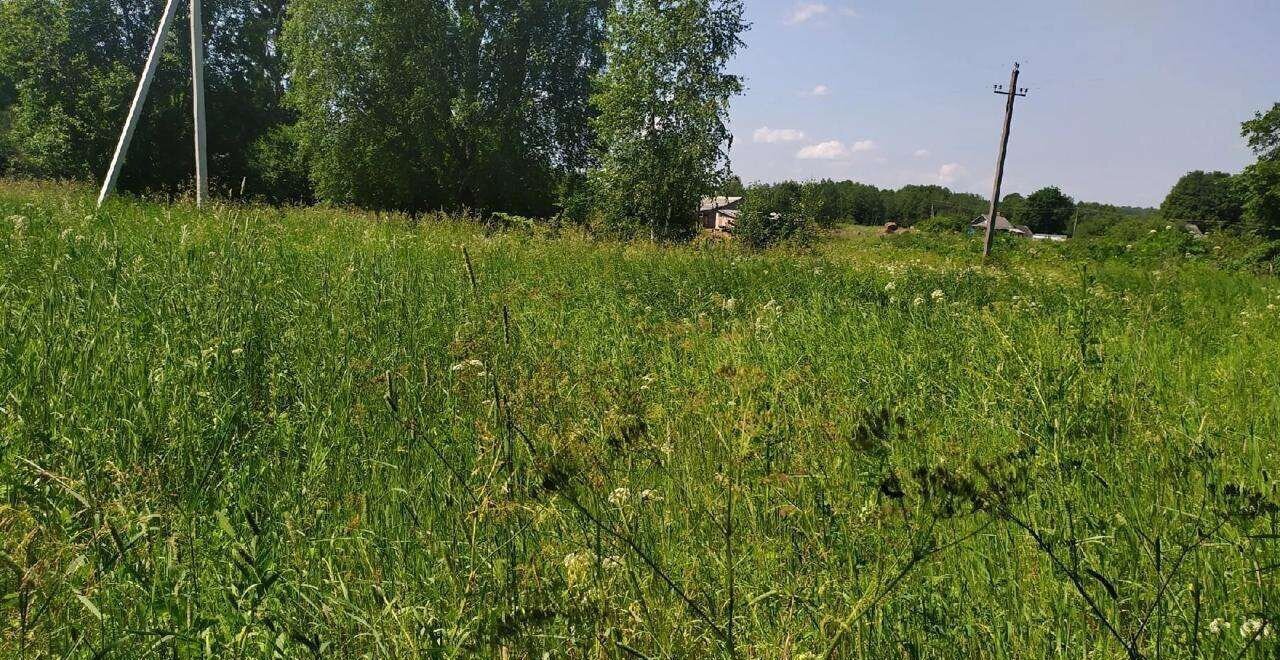 земля р-н Батецкий д Чёрное Мойкинское сельское поселение, Великий Новгород фото 3