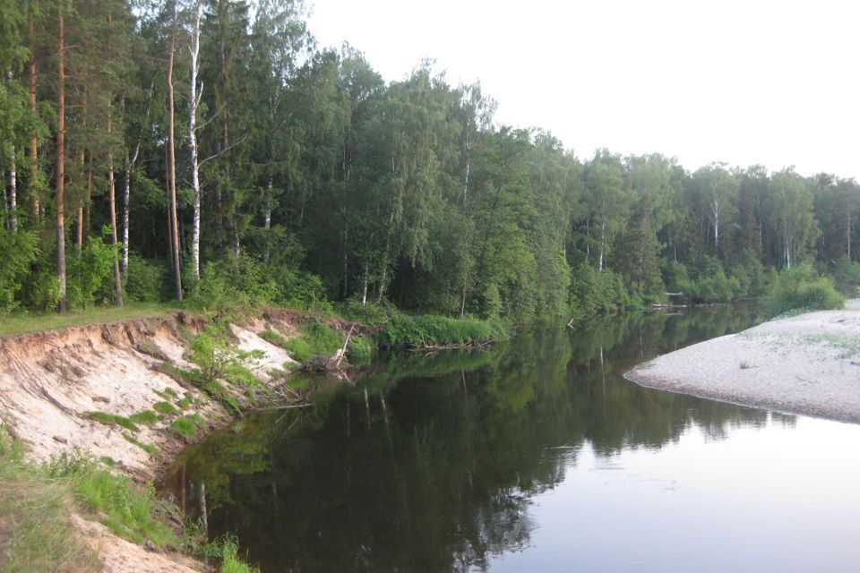 земля р-н Городецкий деревня Воловое фото 2