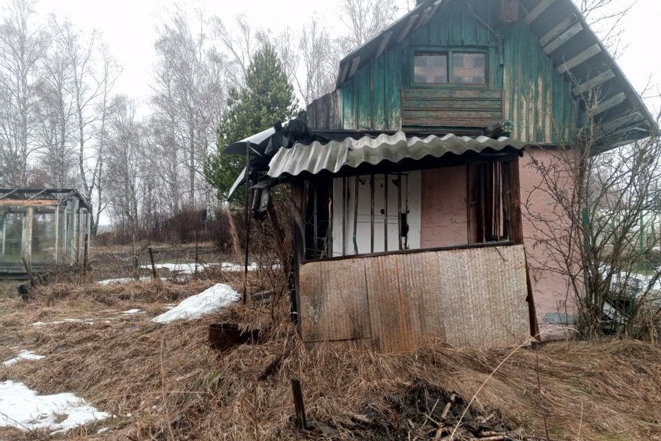 земля р-н Новосибирский СНТ Надежда-2 фото 3