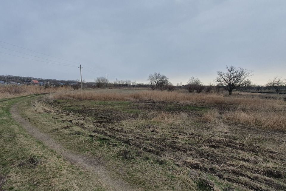 земля р-н Шпаковский садовое товарищество Альфа, Десятая улица фото 3