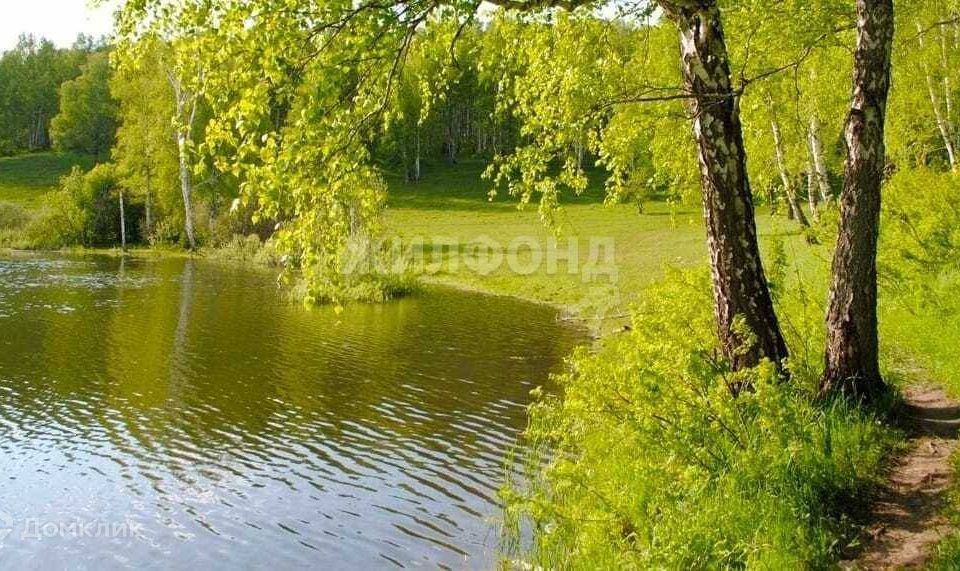 земля р-н Новосибирский с Плотниково коттеджный посёлок Салаир парк фото 5