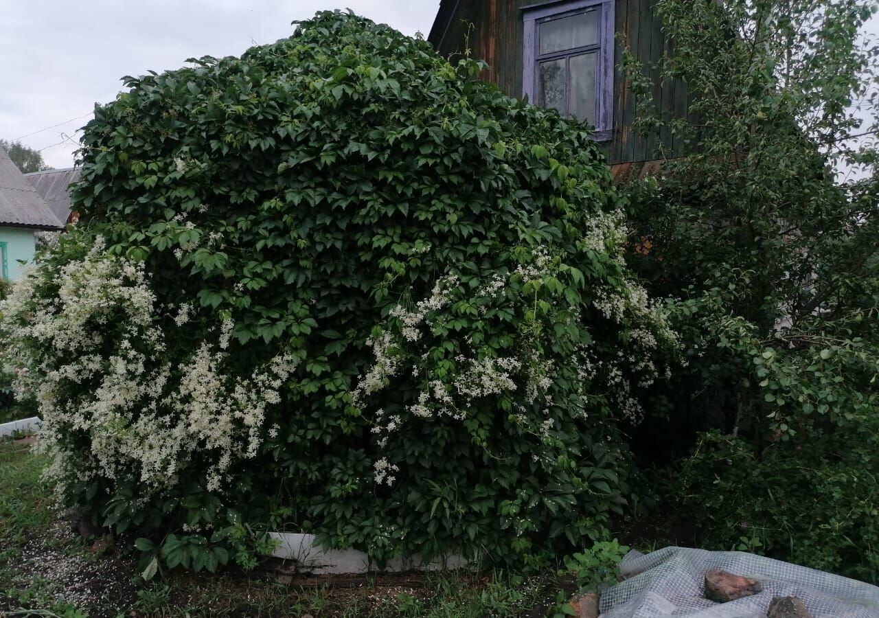 земля р-н Артемовский г Артемовский снт Лысая гора фото 6