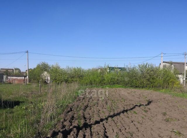 п Новые Дарковичи Новодарковичское с/пос, Болва СДТ фото