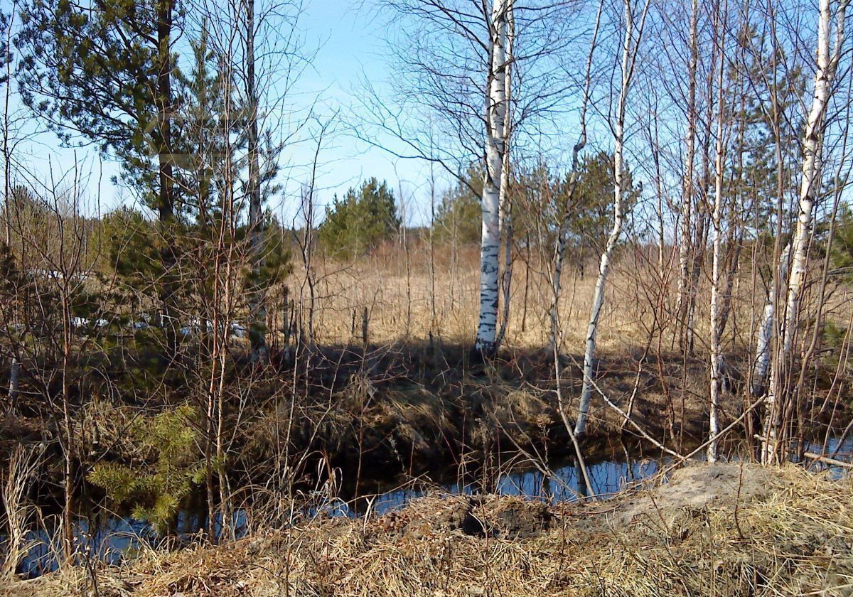 земля р-н Всеволожский д Проба Рахьинское городское поселение, Рахья фото 5