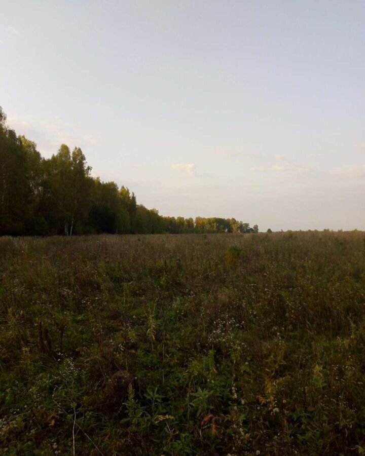 земля р-н Жуковский сельское поселение Совхоз Чаусово, Таруса фото 1