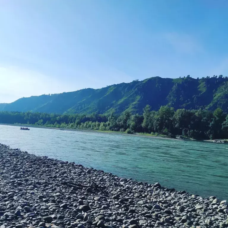 дом р-н Майминский с Манжерок посёлок Турбаза Юность, Чуйская улица, 32 фото 23