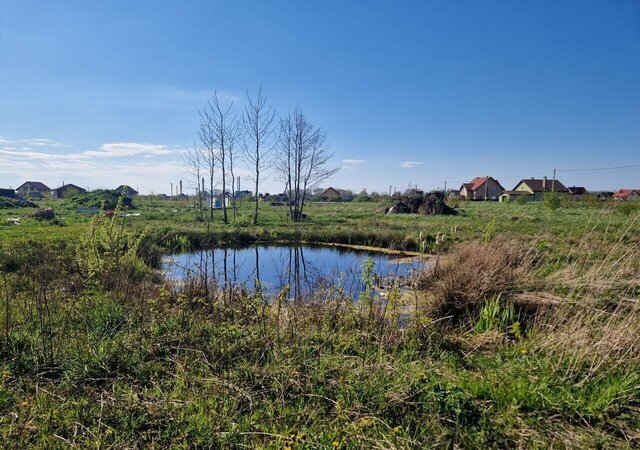 земля ул Ручейная Светлогорск, Зеленоградский муниципальный округ фото