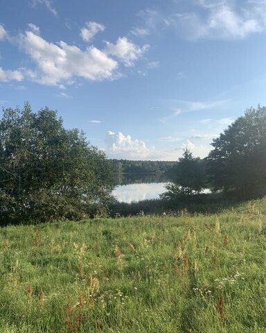 д Ермаки Новосокольники фото