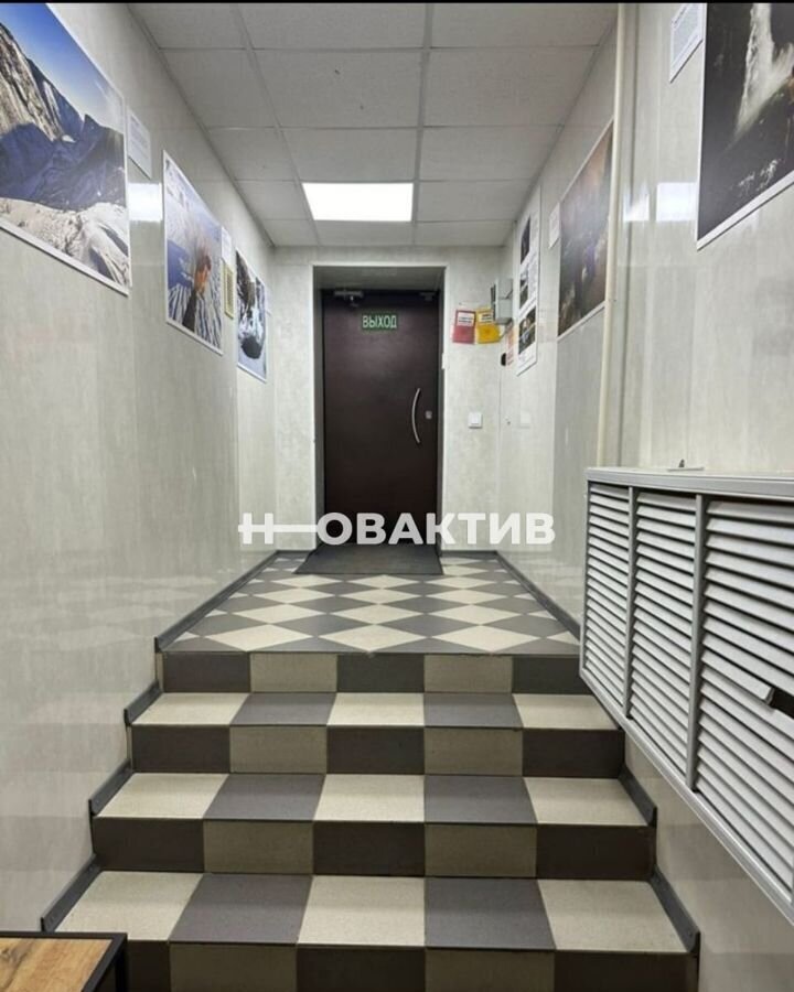 свободного назначения г Новосибирск Маршала Покрышкина ул Державина 13 фото 11