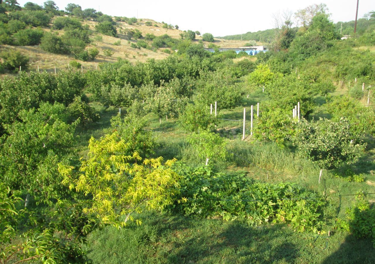 земля г Севастополь садоводческое товарищество Алькадар, 1-й пр, Крым фото 7