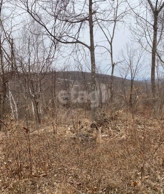 земля г Владивосток п Трудовое ул Лермонтова Владивостокский городской округ фото 1