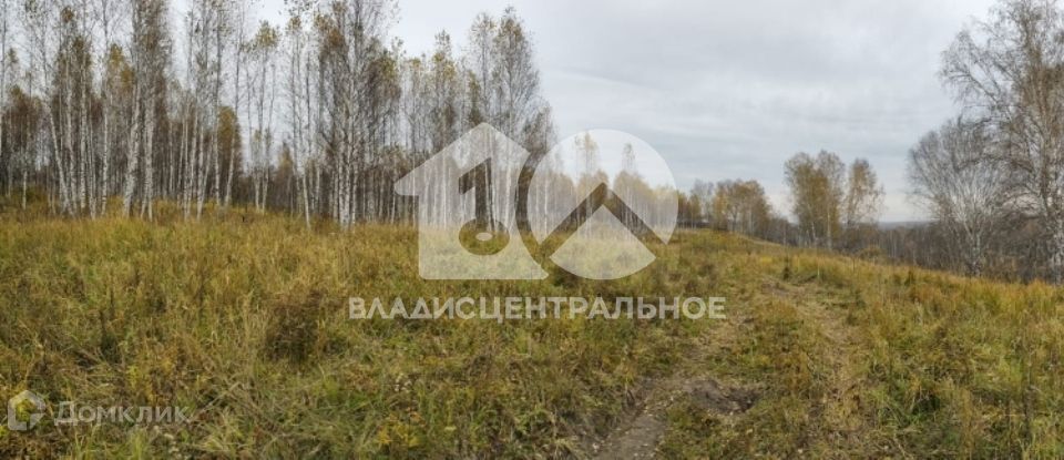 земля р-н Новосибирский дачное некоммерческое партнерство Лазурный берег фото 4