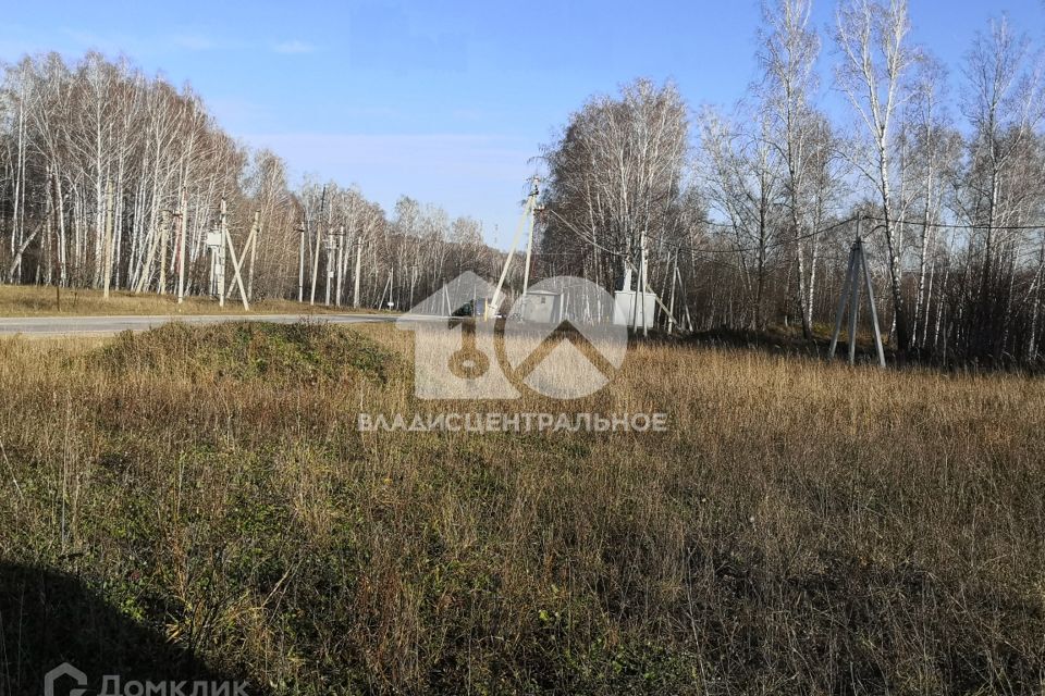 земля р-н Новосибирский дачное некоммерческое партнерство Лазурный берег фото 3